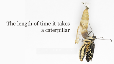 Caterpillar to Butterfly